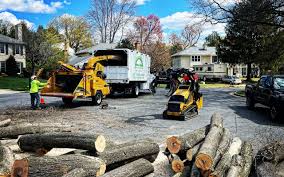 Best Commercial Tree Services  in Du Quoin, IL