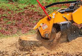 Best Seasonal Cleanup (Spring/Fall)  in Du Quoin, IL