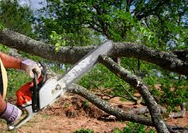 Best Lawn Maintenance Plans  in Du Quoin, IL