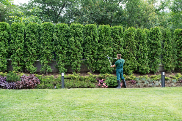 Best Tree Risk Assessment  in Du Quoin, IL